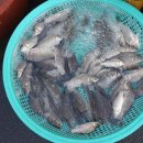 정이수산 이미지
