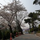 대구가톨릭대학교사범대학부속무학중학교 이미지