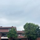 용산-서빙-221 이미지