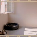 강아지천국 이미지