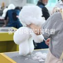 정애견미용학원 네이버블로그