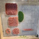 공주 왓에버터프팅ㅣ원데이 터프팅 클래스, 이색데이트 추천(+완성샷 추가)