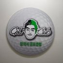 빅토리스크린골프 이미지