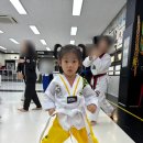 MTA 태권도 | 5세 학원, MTA태권도 2월 등록 후기! 44개월 여아 운동 육아일기