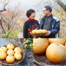 배나무골농원 이미지