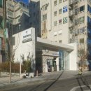 수변1공원 | 광안리 카페 디저트 두쫀쿠 두바이쫀득쿠키 맛집 푸르파파 수변공원DT점 후기