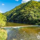 장평리 - 금악리 이미지