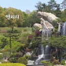 연리지 이미지