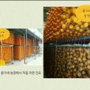 윤가네 농장 이미지