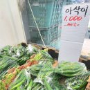 하늘이네 이미지