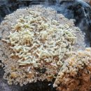 흙사랑식당 이미지