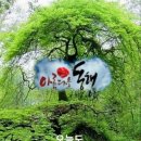 아름다운 동행 이미지