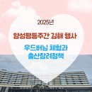 꿈을 키우는 도시 | 양성평등주간 김해 행사 후기 | 우드버닝 체험과 출산장려정책 이야기