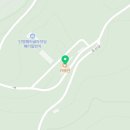 단양 패러글라이딩 체험리뷰