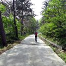 금일중학교생일분교장 이미지