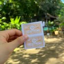 아름다운여행 | 필리핀 보홀 시키호르 여행 루트 추천, 아름다운 마녀의 섬 자유여행 후기