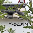 다윤스테이