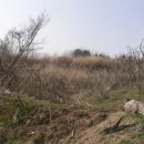 포항시북구69 이미지