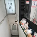 플레이독스 | 건대 가볼만한곳 플레이독스 애견카페 후기 (보드게임까지 가능)