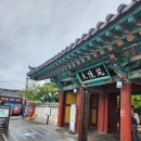 비일상-경주 대릉원&amp;오류 캠핑장