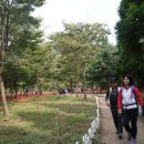 아름여행사 - 화성시 삼천병마로 1276 | 아름여행사