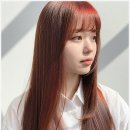 단정헤어 - 북구 팔거천동로34길 11 | 단정헤어