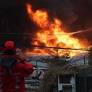 강남-181 이미지