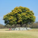 낙동강체육공원 농구장 이미지