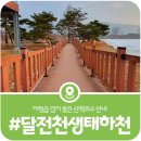 하나로 가로수 정비사업 | [달전천 생태하천 산책로] 볕드는 날에 걷기 좋은 가평 달전천 산책로(2026)