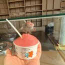 원조가든 | 강릉 맛집 짬뽕 순두부 원조 동화 가든 내돈내먹 웨이팅 후기