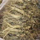 북어마당 이미지