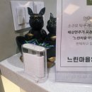 4 계절 | 수원 인계동 막걸리 맛집 느린마을양조장 인계점 4계절 막걸리·플래터 후기