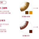 다비치안경 앞 이미지