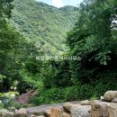 구례전원공인중개사사무소 이미지