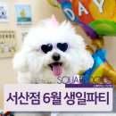 스퀘어독스 서산점 이미지