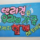 한국펫(주) 이미지