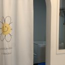 베이비숑 그루밍 이미지