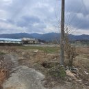 주천면사무소 이미지