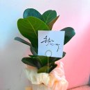 문구잼 - 청주시 청원구 2산단3로 24 | 문구잼