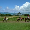 쭉돌농장 이미지