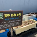 동매은빛 네이버블로그