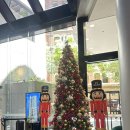 스위트호텔 | 시드니 숙소 추천 취사 가능 위치 좋은 메리톤스위트켄트스트리트 호텔 후기