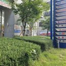 정약국 이미지