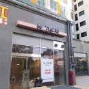늘, 고운펫 이미지