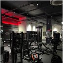 머슬피플 이미지