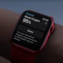 Apple Watch Series 6 : 사용자가 신뢰할 수없는 혈액 산소 측정에 대해 불평 이미지