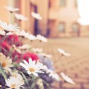 코너스톤어학원 이미지