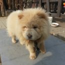 백모농장 네이버블로그