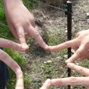 혜진목장 이미지