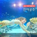 뀰아쿠아 네이버블로그